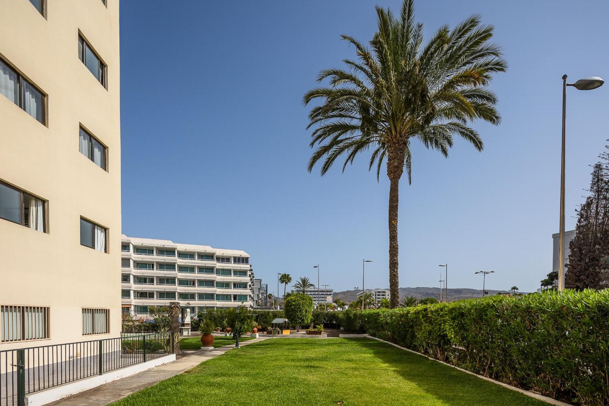 Los Ficus Πλάγια ντελ Ινγκλές Εξωτερικό φωτογραφία